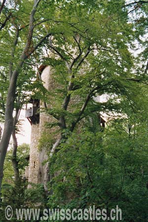 Reichenstein