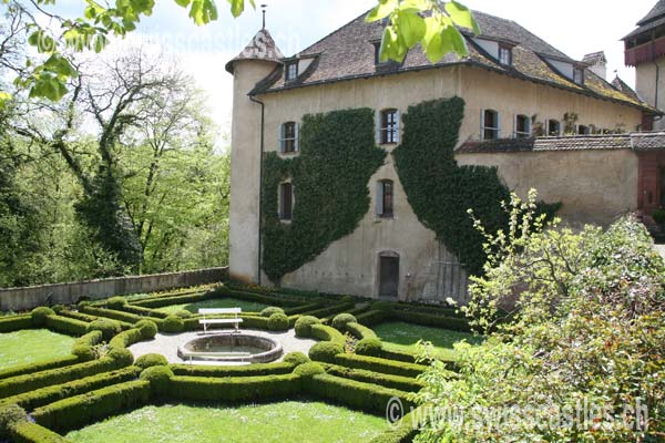 wildenstein
