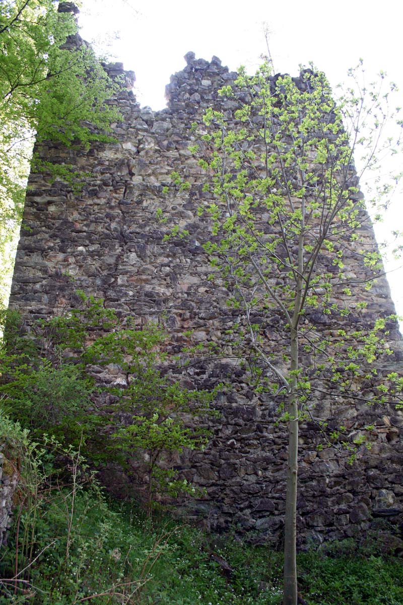 klingenhorn