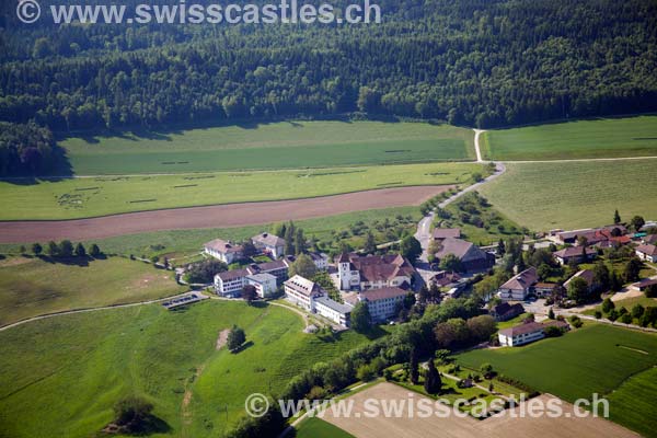 Frienisberg