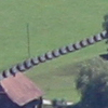 Wileroltigen