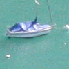 Unterseen