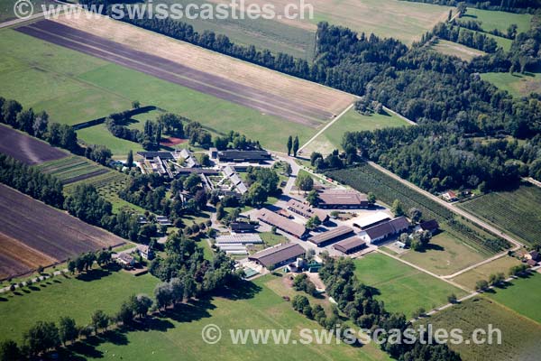 Witzwil
