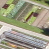 Burgdorf