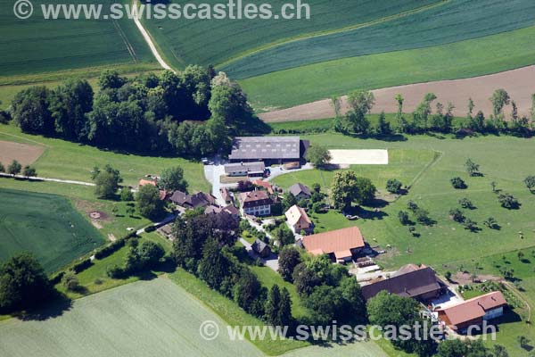 Pierrafortscha