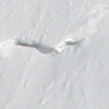 Jungfrau