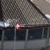 Schilthorn - Birg - M�rren