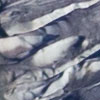 Le glacier d'Aletsch