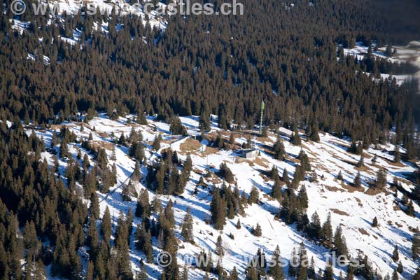 Mont tendre