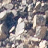 Dents du Midi