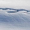 L�tschental