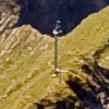 Cape au moine
