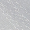 Dents du Midi