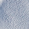 Muveran
