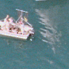 Lac L�man bateaux