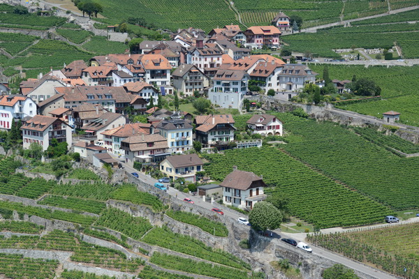 Rivaz