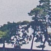 Puidoux