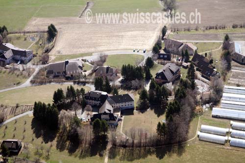 Savigny