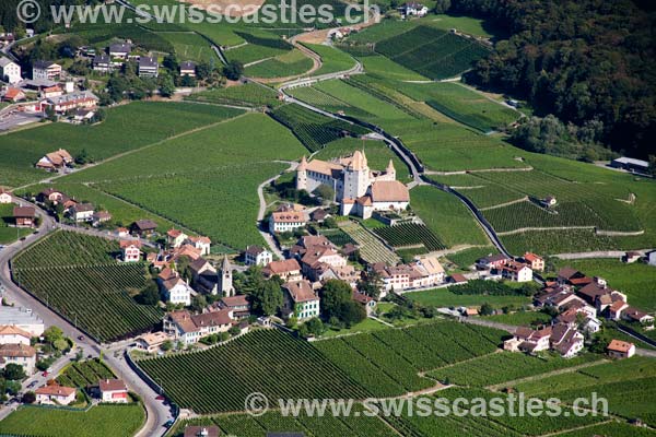 aigle