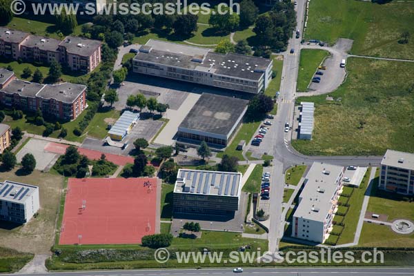 aigle