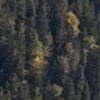 Lac de Joux