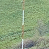 longirod
