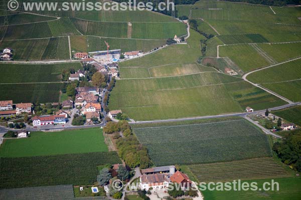 Luins