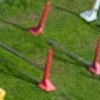 Mollens