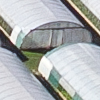Oron-la-Ville