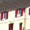 aigle