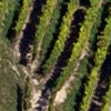 Bellerive