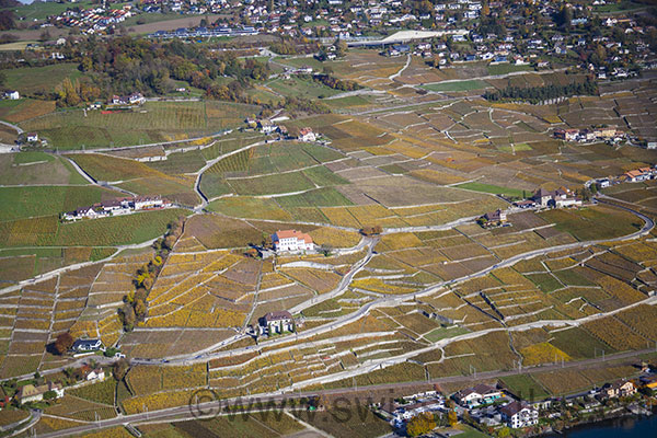 Lutry
