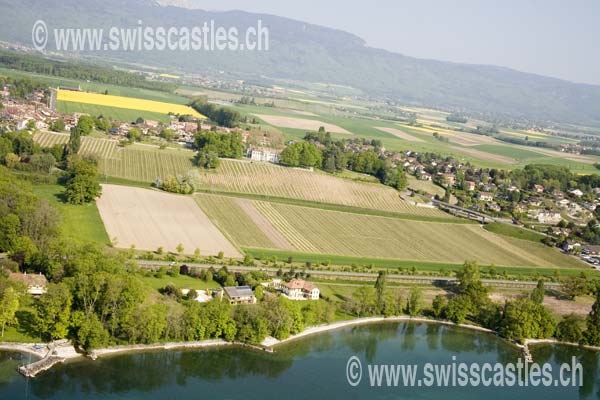 Crans
