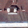 Meggen