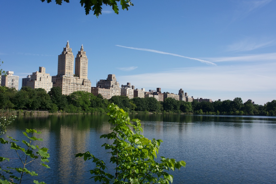 new york