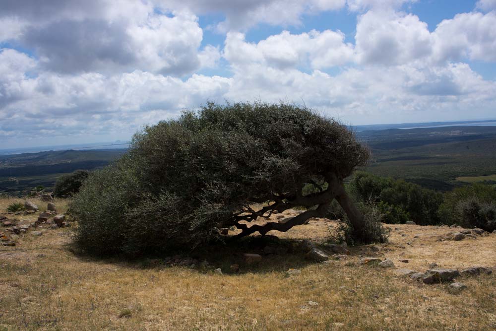 Voyage en Sardaigne, Sirai