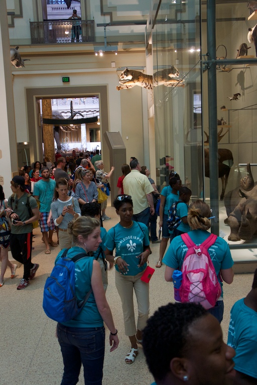 National history museum