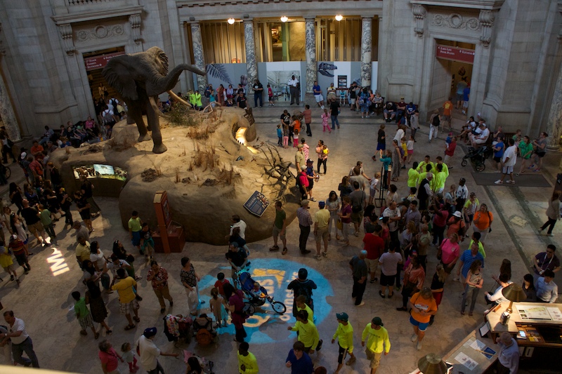 National history museum